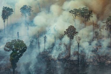 Dans cet Etat frontalier de la Bolivie qui est l'un des plus touchés par les incendies incontrôlables, les habitants se plaignent d'avoir du mal à respirer avec la présence de ces gros nuages chargés de carbone.