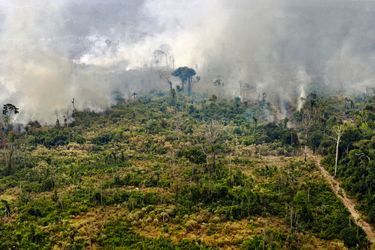 Dans cet Etat frontalier de la Bolivie qui est l'un des plus touchés par les incendies incontrôlables, les habitants se plaignent d'avoir du mal à respirer avec la présence de ces gros nuages chargés de carbone.