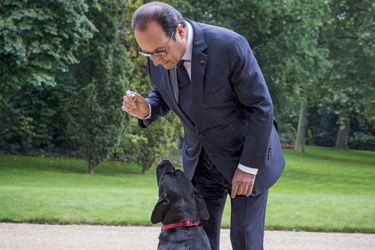 François Hollande dans les jardins de l’Elysée avec son labrador Philae.