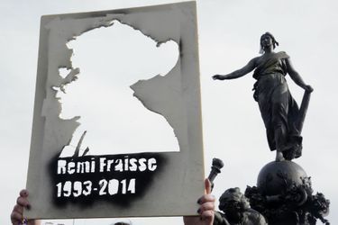 Un portrait de Rémi Fraisse durant une manifestation à Paris, en 2014. 