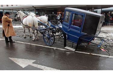 Un fiacre a été victime d'un accident dans une rue de Vienne, en Autriche. Aucun être humain ni cheval n'a été blessé dans l'incident.