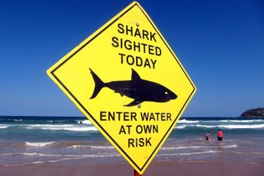 Un panneau sur une plage en Australie met en garde contre les requins. 
