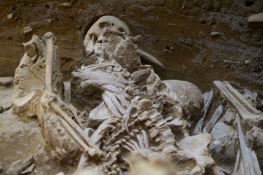 Une partie des neufs squelettes vieux d'environ 1000 ans.
