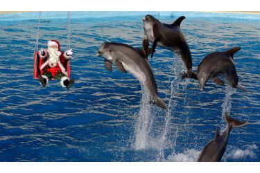 Le père Noël joue avec des dauphins à Antibes