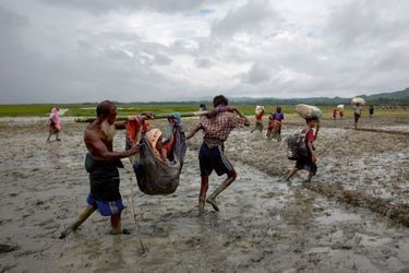 Le sort des Rohingyas. 