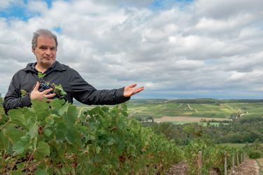 A Celles-sur-Ource, dans l’Aube, dans les 127 hectares de vignes de Thomas Cheurlin.