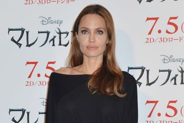 Angelina Jolie a confirmé son désir de mettre un terme à sa carrière d'actrice