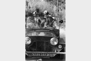 Brigitte Bardot avec ses chiens au volant de sa Mini Moke
