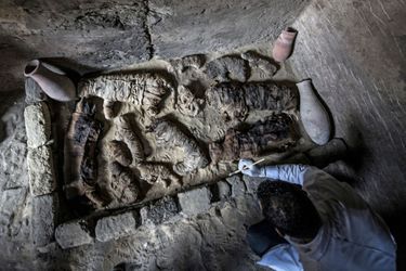Des chats momifiés ont été retrouvés dans une nécropole égyptienne.