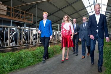 La reine Maxima des Pays-Bas visite une ferme à Workum, le 9 septembre 2015