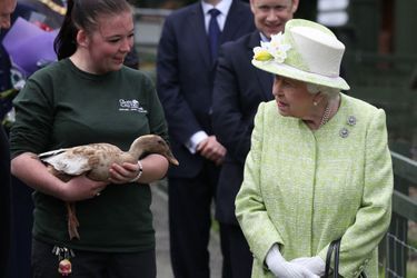 La reine Elizabeth II avec la cane Olive à Edimbourg, le 4 juillet 2019