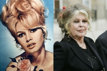 Brigitte Bardot en 1963 et 2007