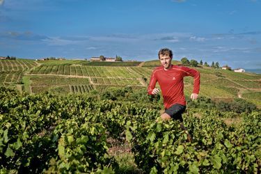 François D’Haene, un vigneron pressé - “french paradox”