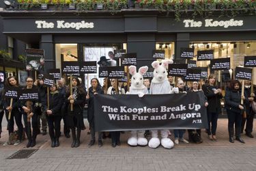 Manifestation anti-fourrure de PETA devant The Kooples à Londres, en octobre 2015. 