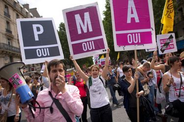 Manifestants en faveur de la PMA lors de la gay pride en juin 2013 à Paris.