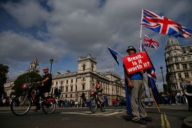 Un manifestant anti-Brexit à Londres, le 10 septembre.