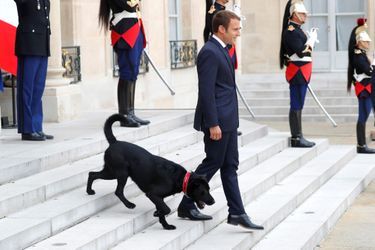 Emmanuel Macron avec son nouveau chien, lundi à l&#039;Elysée. 