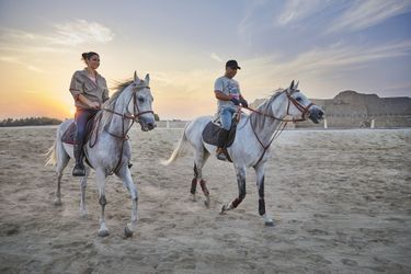 Bahrain Fort Horses