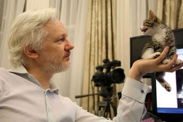 Julian Assangei avec son petit chat qui n'a pas encore de nom.