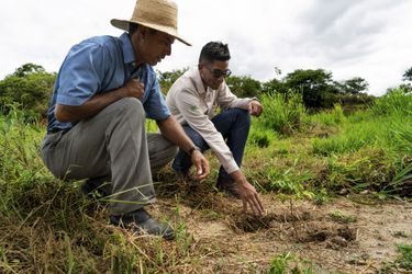 Dans son champ, Roberto le paysan replante aussi  avec l’aide de Tiago, un technicien  de l’Instituto Terra.