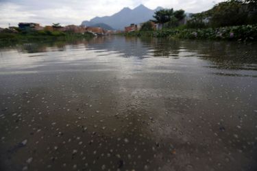 Les eaux olympiques sont polluées au Brésil.