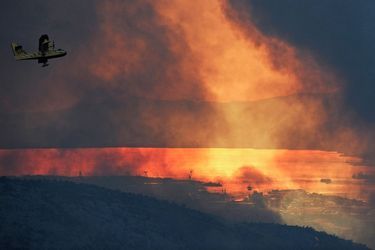 Dans la région de Split (Croatie), 4500 hectares de pinède, de broussailles et d'oliviers ont été brûlés.