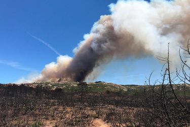 Environ 200 hectares de maquis ont été détruits dans l'incendie de Bonifacio (Corse du Sud).
