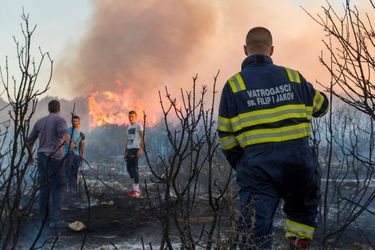 Dans la région de Split (Croatie), 4500 hectares de pinède, de broussailles et d'oliviers ont été brûlés.