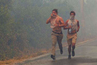  Au Monténégro, plusieurs autres incendies de forêt ont notamment entraîné l'évacuation d'une centaine de campeurs sur la péninsule de Lustica.