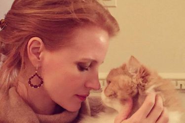 Jessica Chastain et son chat