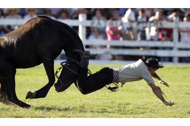 Un gaucho tombe d&#039;un cheval lors d&#039;un festival à Tacuarembo, en Uruguay. Le festival Patria Gaucho célèbre les traditions agricoles de la pampa.