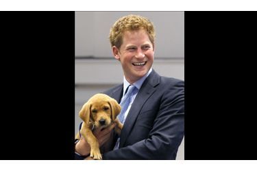 <br />
Le Prince Harry, lors d’une visite au centre de protection canine de Midhurst, au sud de l’Angleterre. 