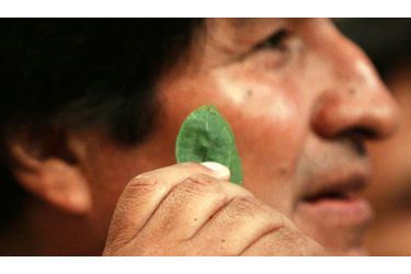 Evo Morales a fait sensation jeudi à la Commission des stupéfiants de l&#039;ONU. Le Président de la Bolivie a tout simplement mâché une feuille de coca, sous le nez des ministres des 53 pays membres, réunis à Vienne. Arguant du caractère sacré de la coca dans son pays, le chef de l’Etat bolivien a demandé le retrait de la plante des substances illicites. Evo Morales qui en consomme régulièrement, a estimé que la plante n’était pas une drogue, contrairement à la pate qui sert à fabriquer la cocaïne et dont il n’a pas contesté l’interdiction. 