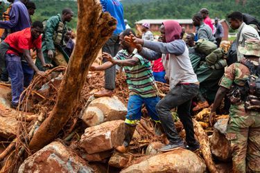 Des rescapés ont trouvé refuge dans des arbres, d'autres sur les toits en attendant les secours. Mais le cyclone Idai a fait au moins 173 morts au Mozambique et au Zimbabwe.