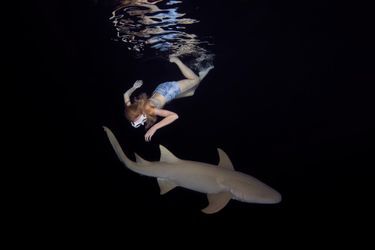 Les deux femmes en harmonie avec les requins.