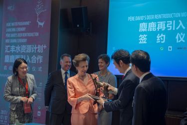 La princesse Anne en Chine, le 7 juillet 2017