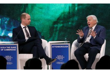 Le prince William avec Sir David Attenborough à Davos, le 22 janvier 2019