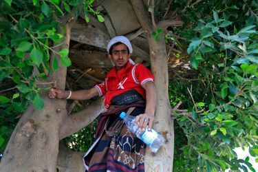 Ahmed Houbeichi dans son arbre, à Sanaa au Yémen, le 4 octobre 2018 
