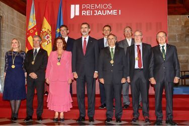 Le roi Felipe VI d'Espagne, le 7 novembre 2018 à Valence