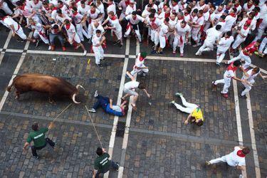 Les taureaux sèment le chaos dans les rues de Pampelune