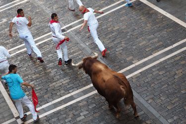 Les taureaux sèment le chaos dans les rues de Pampelune