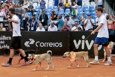Au tournoi de Sao Paulo, les ramasseurs de balles sont des chiens
