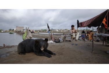 Des habitants du district de Tando Allahyar et leur ours, au Pakistan