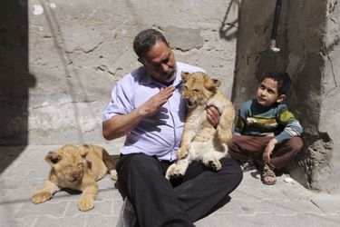 Saad Eldeen Al-Jamal et ses lionceaux Mona et Alex à Gaza, dans les Territoires palestiniens