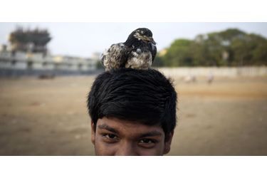 Un adolescent et son pigeon à Mumbai, en Inde