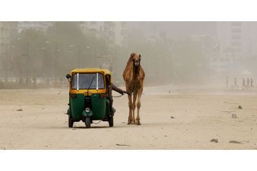 Un homme promenant son dromadaire à Ahmedabad, en Inde