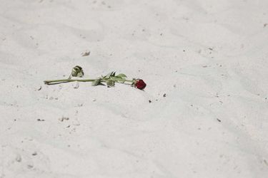 Tunisie, le jour d’après - Après le massacre sur une plage