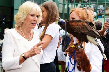 La duchesse de Cornouailles Camilla avec Rufus le faucon à Wimbledon, le 2 juillet 2015