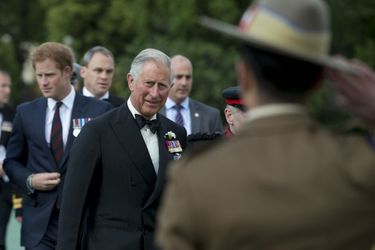 Les princes Charles et Harry à Londres, le 9 juin 2015