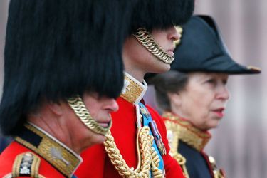 Les princes William et Charles, et la princesse Anne à la cérémonie Trooping the Colour à Londres, à l&#039;occasion de l&#039;anniversaire de la reine E...